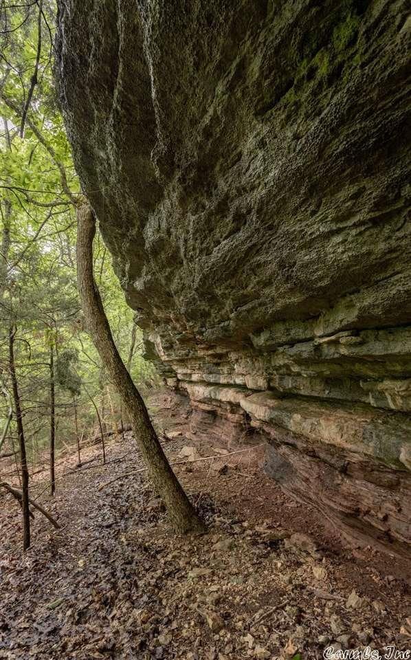 69 Jackson Rdg, Eureka Springs, AR 72631 - view of nature