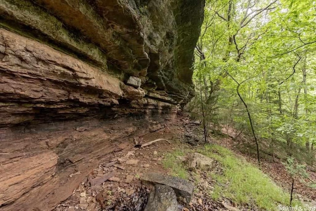 69 Jackson Rdg, Eureka Springs, AR 72631 - view of nature