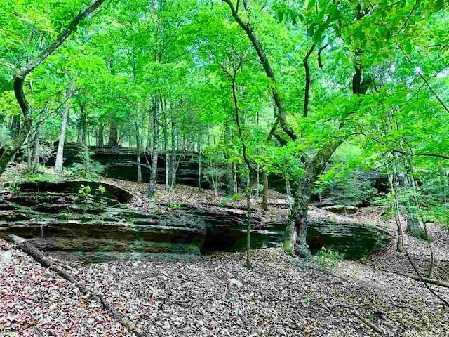 69 Jackson Rdg, Eureka Springs, AR 72631 - view of nature with a water view