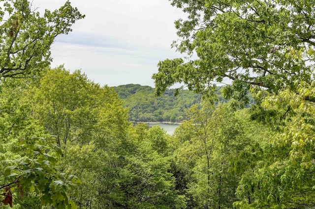 69 Jackson Rdg, Eureka Springs, AR 72631 - view of local wilderness with a water view