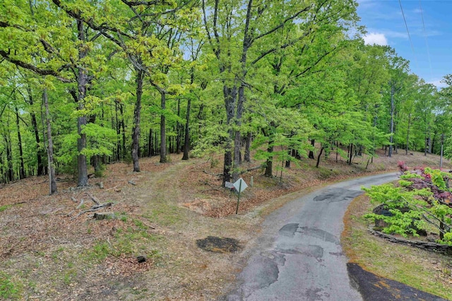 69 Jackson Rdg, Eureka Springs, AR 72631 - view of street