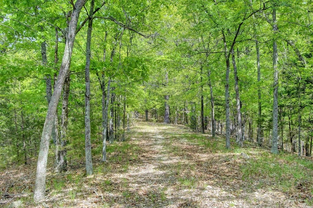69 Jackson Rdg, Eureka Springs, AR 72631 - view of nature