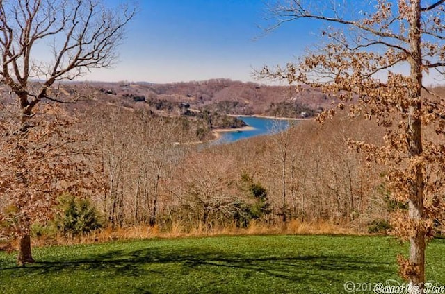69 Jackson Rdg, Eureka Springs, AR 72631 - property view of water