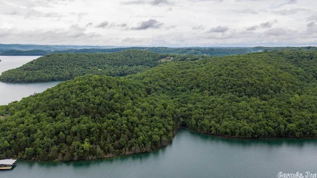 69 Jackson Rdg, Eureka Springs, AR 72631 - birds eye view of property featuring a water view