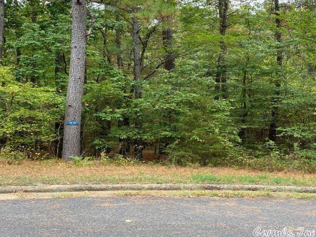 2 Poema Ln, Hot Springs Village AR, 71909 land for sale