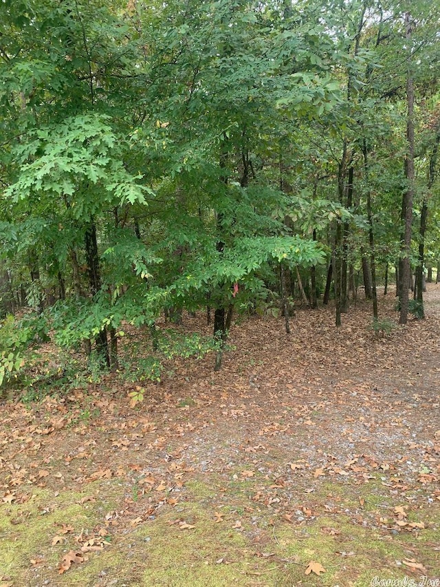 Listing photo 2 for 7 Morro Ln, Hot Springs Village AR 71909