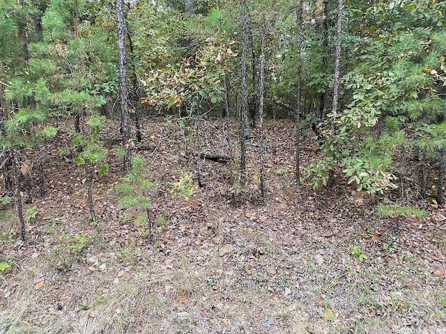 Address Not Disclosed, Hot Springs Village AR, 71909 land for sale