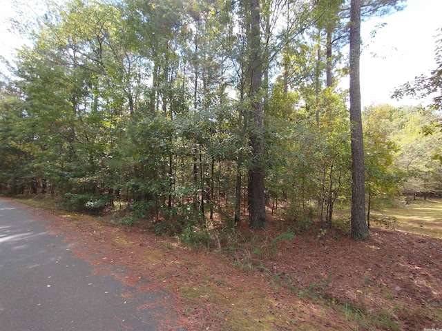 1 Alhaja Way, Hot Springs Village AR, 71909 land for sale