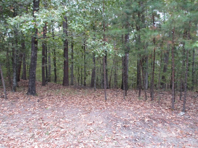 4 Princesa Trce, Hot Springs Village AR, 71909 land for sale