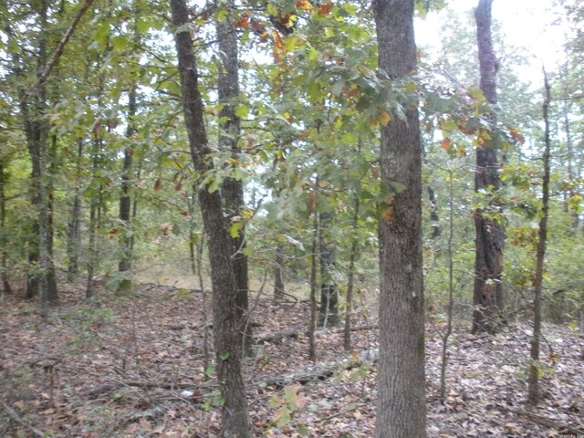 Address Not Disclosed, Hardy AR, 72542 land for sale