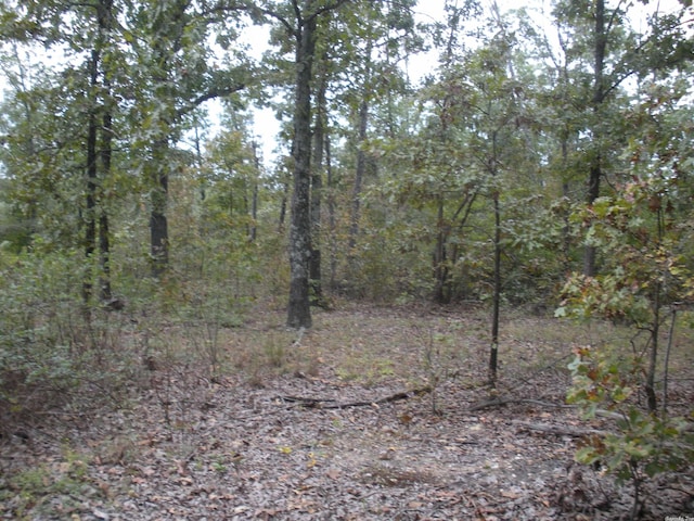 Listing photo 2 for Address Not Disclosed, Hardy AR 72542