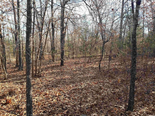 Poteau Trce, Cherokee Village AR, 72529 land for sale