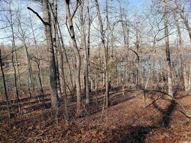 L-24 Hulapi Dr, Cherokee Village AR, 72529 land for sale