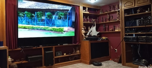 cinema room with light carpet and a healthy amount of sunlight