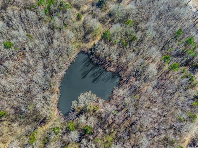 TBD Highway 41, Horatio, AR 71842