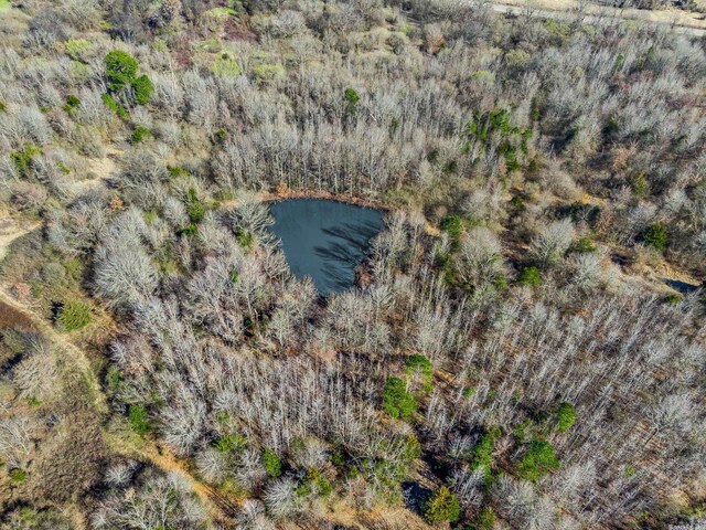 TBD Highway 41, Horatio, AR 71842