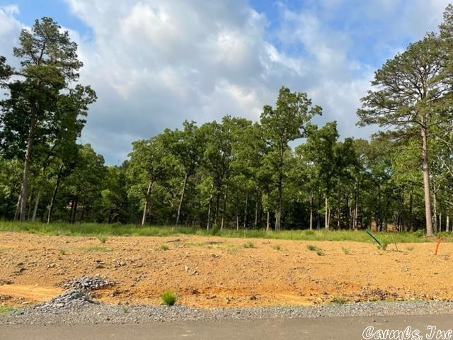 Orchard Hill, Conway AR, 72034 land for sale