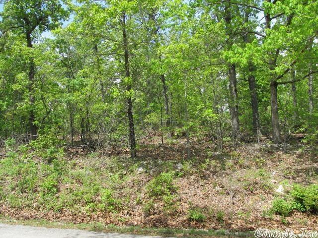 0000 Joelli Ln, Ash Flat AR, 72513 land for sale