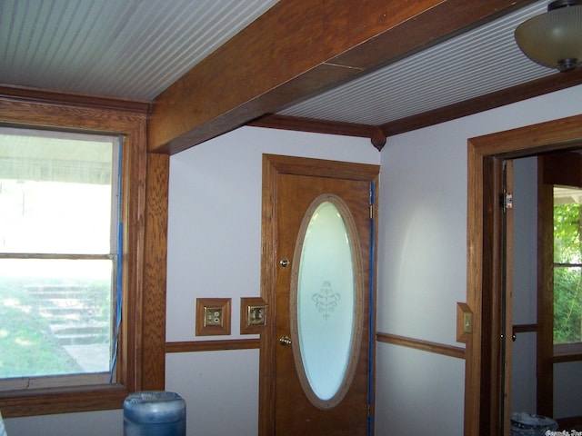 foyer featuring a wealth of natural light