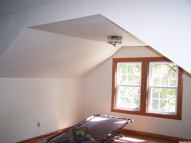 bonus room with hardwood / wood-style floors and lofted ceiling