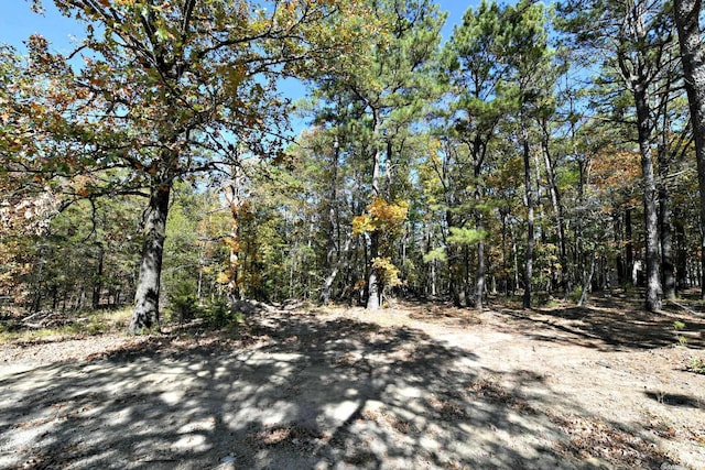 Listing photo 3 for TBD Highway 8e, Mena AR 71953