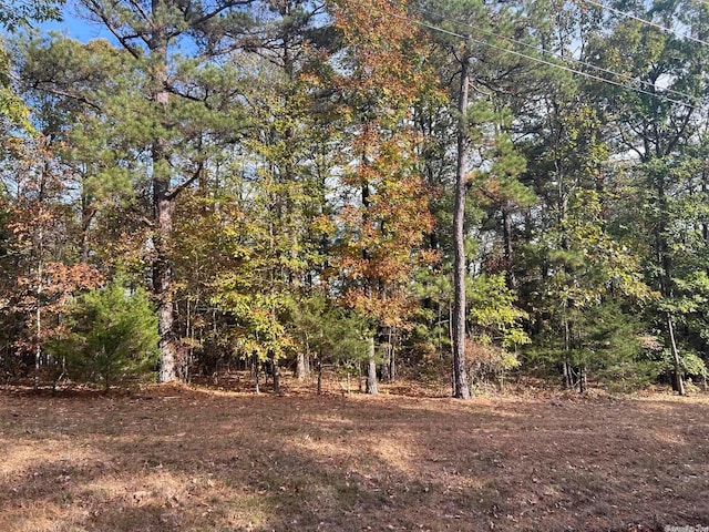 Listing photo 2 for 0000 Dave Creek Pkwy, Fairfield Bay AR 72088