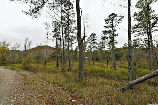 Listing photo 2 for TBD Highway 8 E, Mena AR 71953