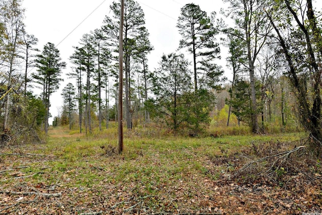 Listing photo 3 for TBD Highway 8 E, Mena AR 71953