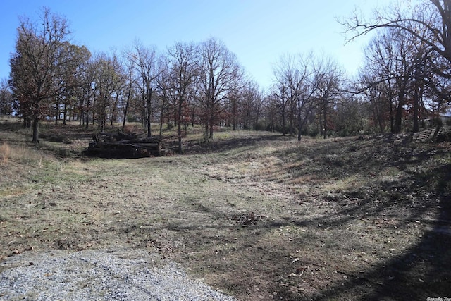 Listing photo 2 for TBD Fairview Rd, Salem AR 72576