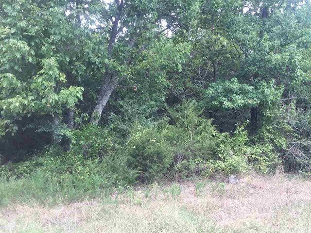 134 Jerry Ln, Judsonia AR, 72081 land for sale