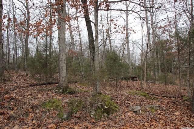 Listing photo 2 for LOT21 Woodstone Rd, Bull Shoals AR 72619