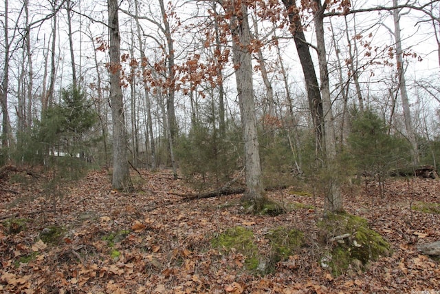 Listing photo 3 for LOT21 Woodstone Rd, Bull Shoals AR 72619