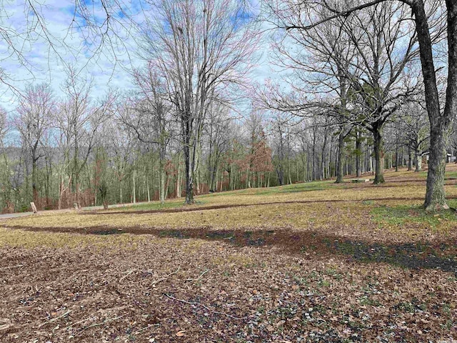 Address Not Disclosed, Leslie AR, 72645 land for sale