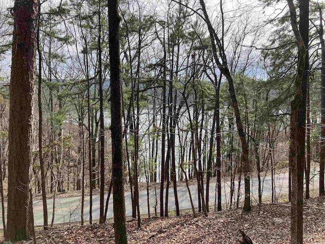 Address Not Disclosed, Hot Springs Village AR, 71909 land for sale