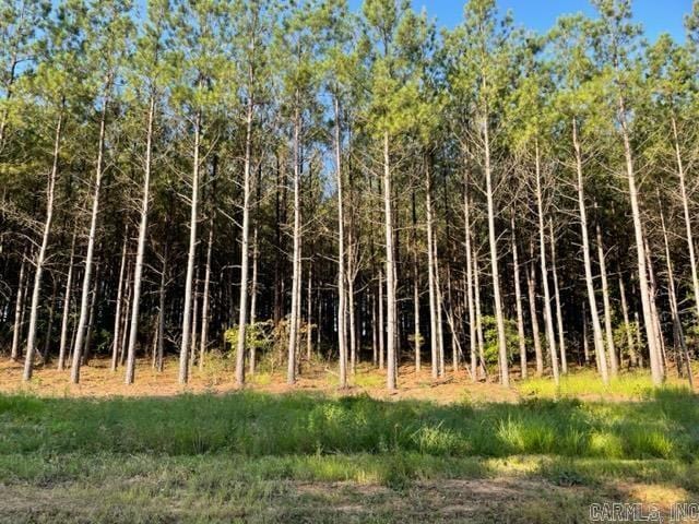 Round Mountain Rd, Conway AR, 72034 land for sale