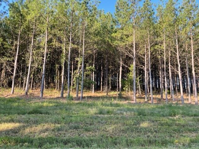 Round Mountain Rd, Conway, AR 72034