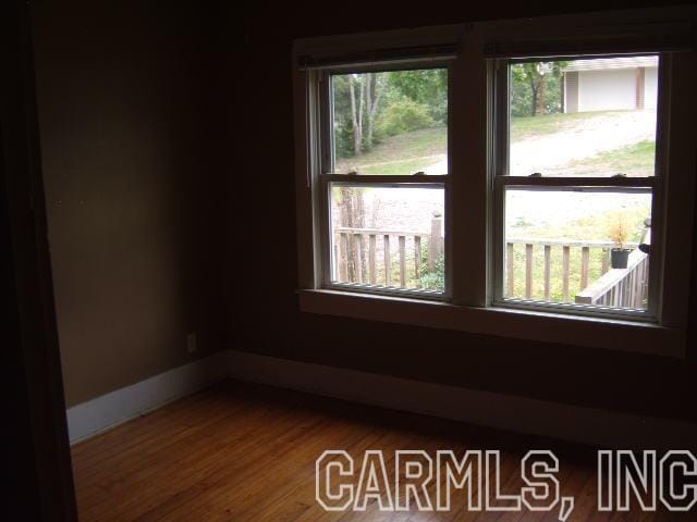 empty room featuring dark hardwood / wood-style flooring and plenty of natural light