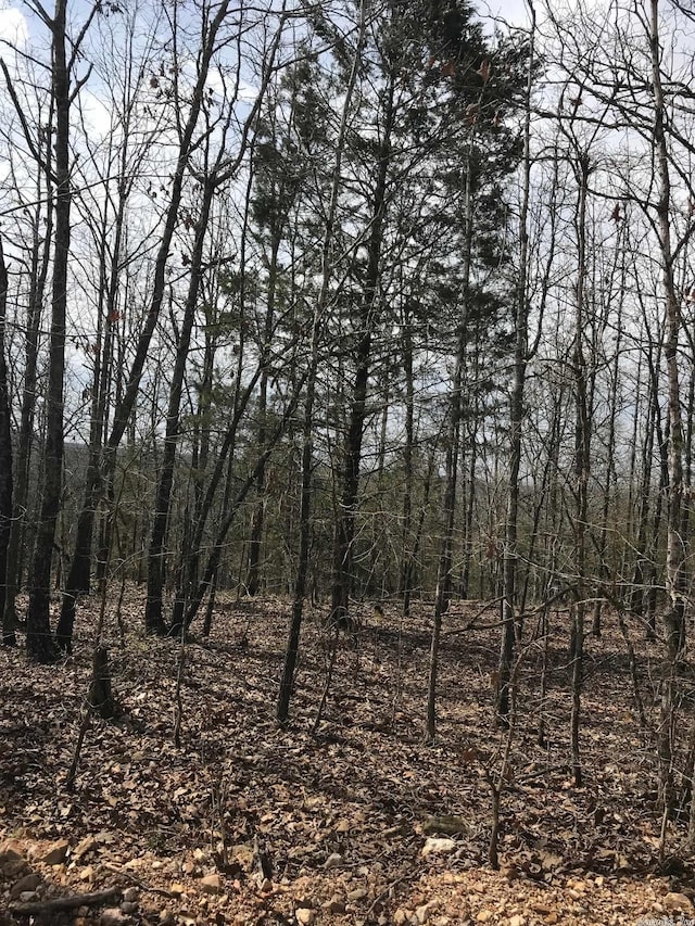 LOT15 Red Fox Rd, Hardy AR, 72542 land for sale