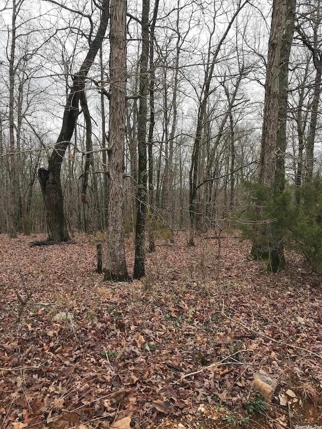 Listing photo 2 for LOT15 Red Fox Rd, Hardy AR 72542