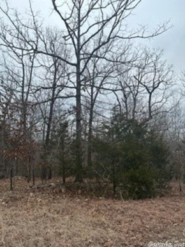 Listing photo 3 for LOT14 Buckhead Ln, Mountain Home AR 72653