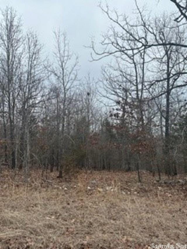 LOT14 Buckhead Ln, Mountain Home, AR 72653