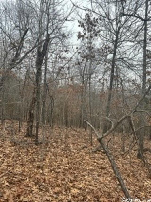 LOT14 Buckhead Ln, Mountain Home, AR 72653