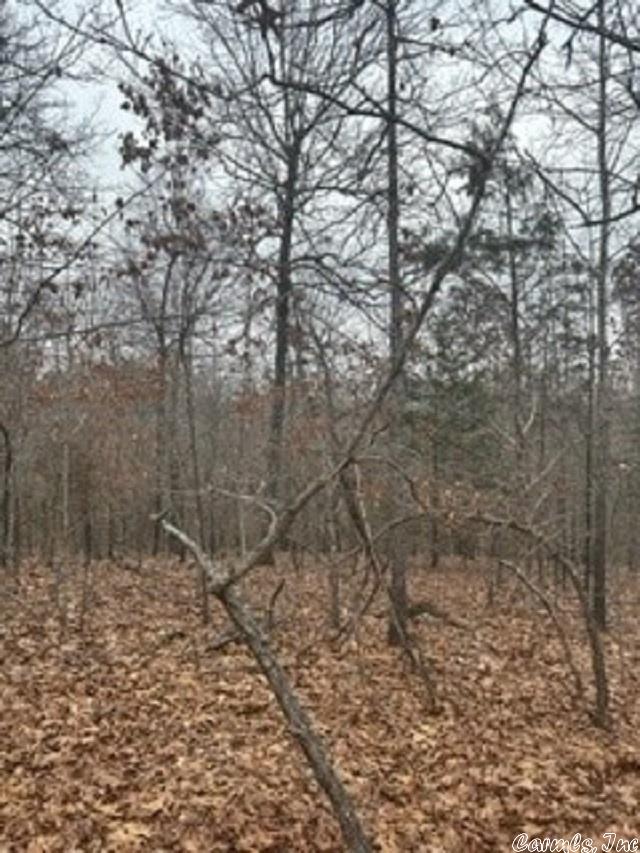 LOT14 Buckhead Ln, Mountain Home, AR 72653