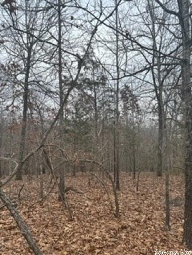LOT14 Buckhead Ln, Mountain Home, AR 72653