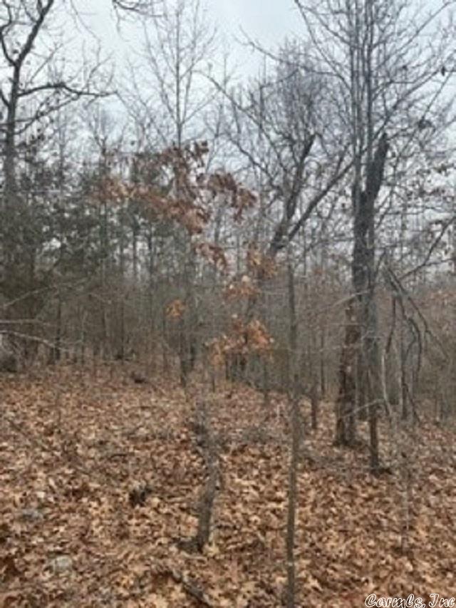 LOT14 Buckhead Ln, Mountain Home, AR 72653