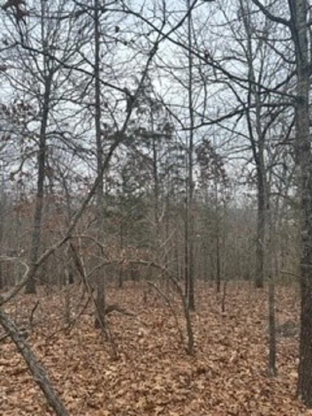 LOT14 Buckhead Ln, Mountain Home, AR 72653