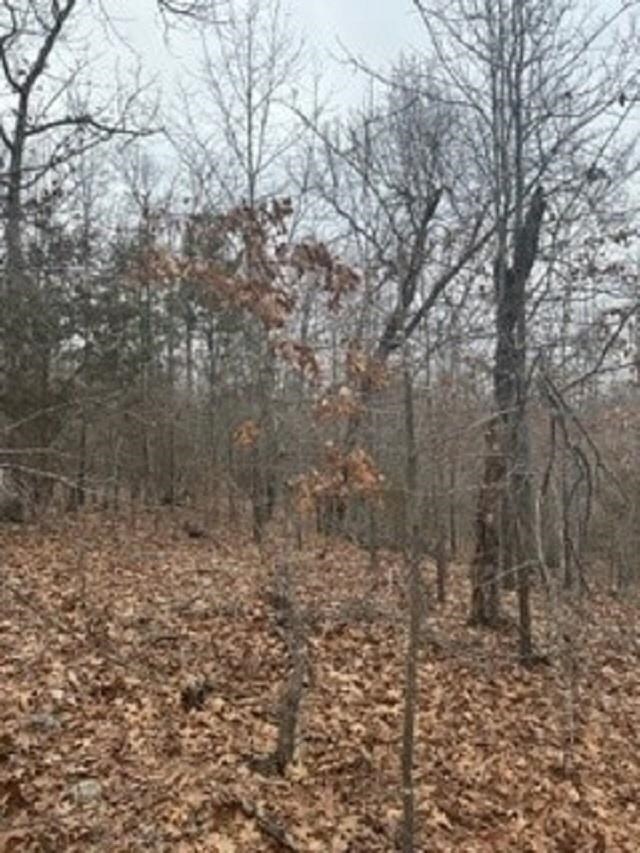 LOT14 Buckhead Ln, Mountain Home, AR 72653
