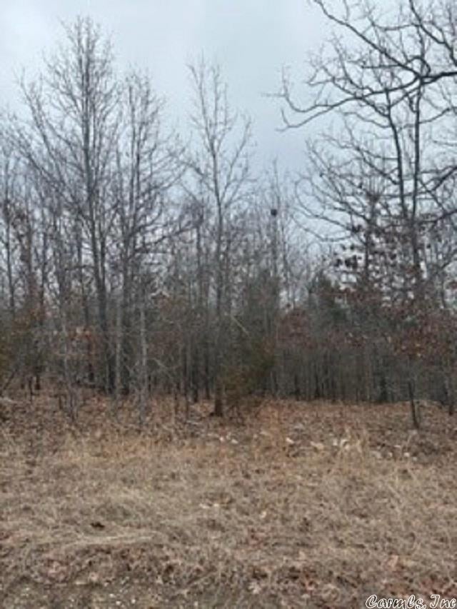 LOT14 Buckhead Ln, Mountain Home, AR 72653