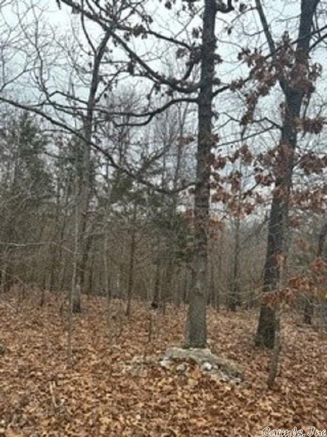 LOT14 Buckhead Ln, Mountain Home, AR 72653