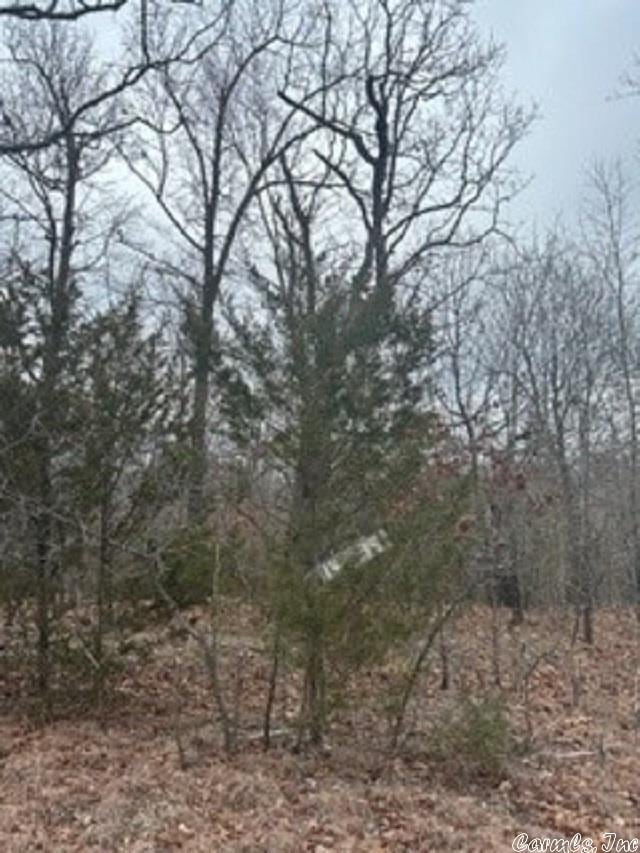 LOT14 Buckhead Ln, Mountain Home, AR 72653